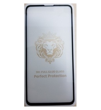 folie SAMSUNG S10 e
